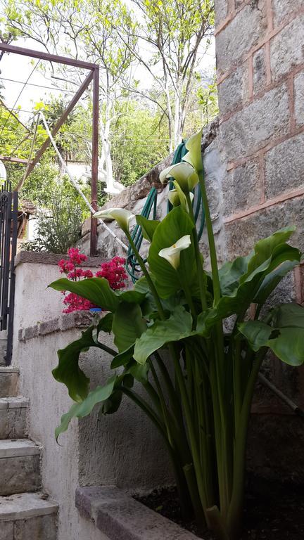 Apartment Stern Perast Exterior foto